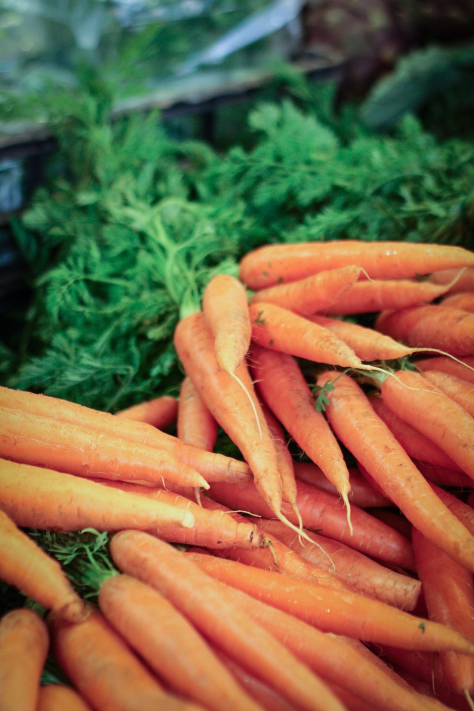 carote 2 940x1410 Il Farmers market a Roma