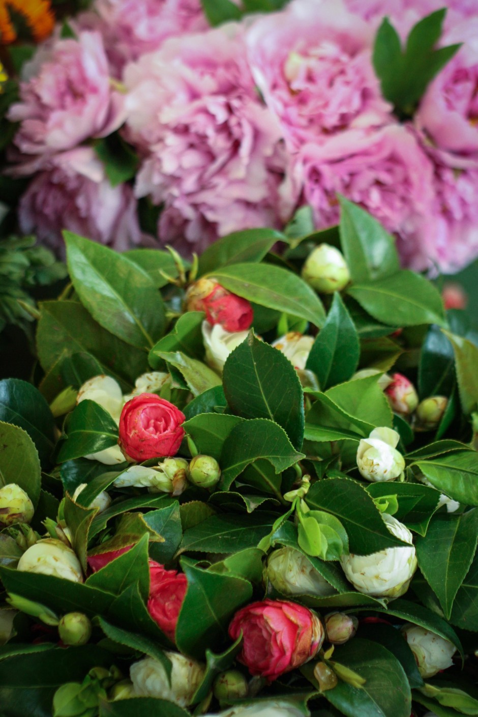 fiori 940x1409 Il Farmers market a Roma